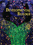 2021 Developmental Biology Cover
