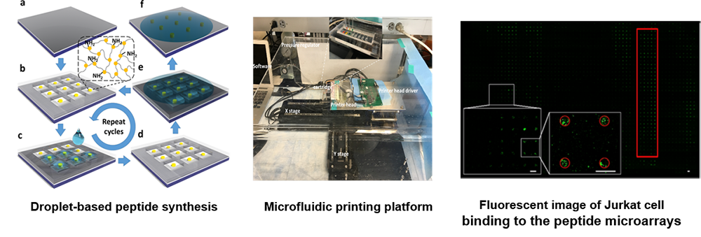 Peptide & Chemical Microarrays, and Microfluidics for Cancer Research