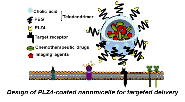 Nanotheranostic Agents