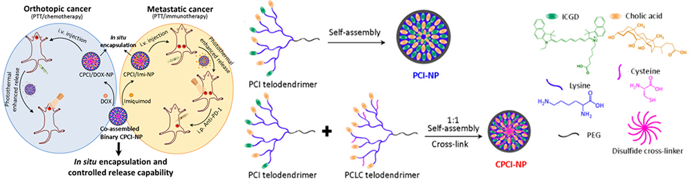 Photochemo-Immuno-Nanoplatform 