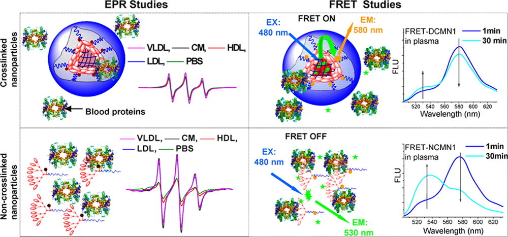 Biophysical Approaches to Study Protein-nanoparticle Interactions